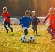 哈兰德领衔,英超进球王,队内贡献高,神殿娱乐,神殿娱乐官网,中国神殿娱乐,神殿娱乐入口