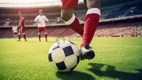 神殿娱乐 产品 105138 nvi