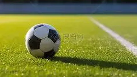 杜玥李茵晖勇夺全英羽毛球公开赛女双亚军