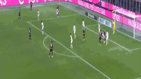 夏日激情，哈马2025璀璨启幕——哈尔滨马拉松激情奔跑